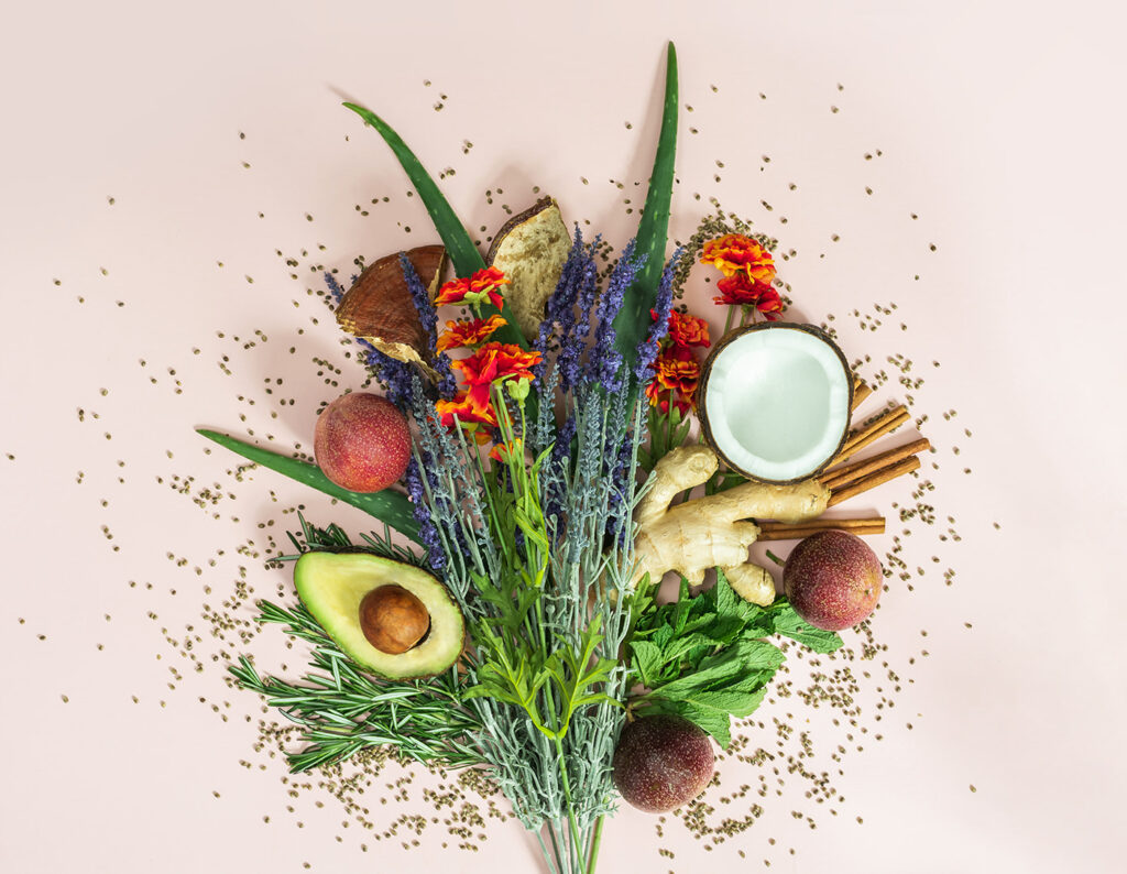 reHEMP plant based ingrediends