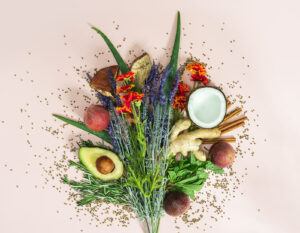 reHEMP plant based ingrediends