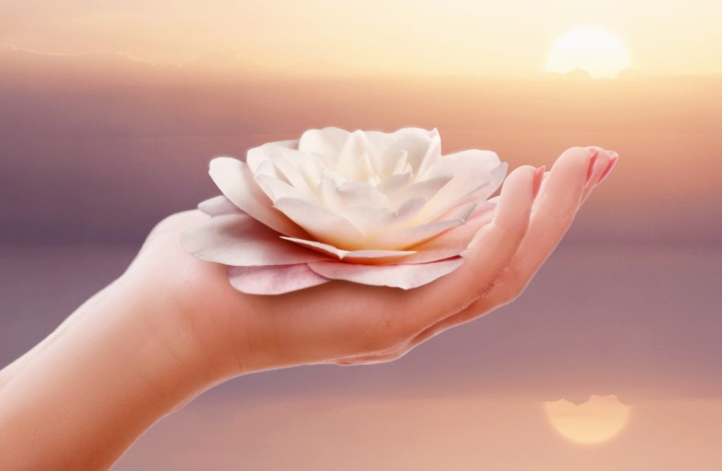 New Year Renewal with reHEMP