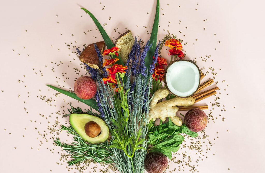 reHEMP plant based ingrediends